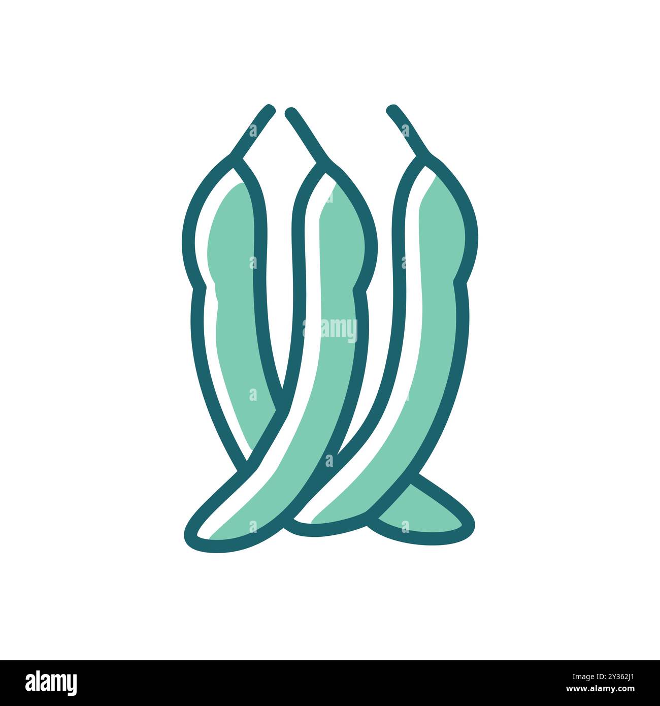 Green chili peppers. Three green chili peppers, illustration style.  Perfect for adding a spicy touch to your designs. Stock Vector