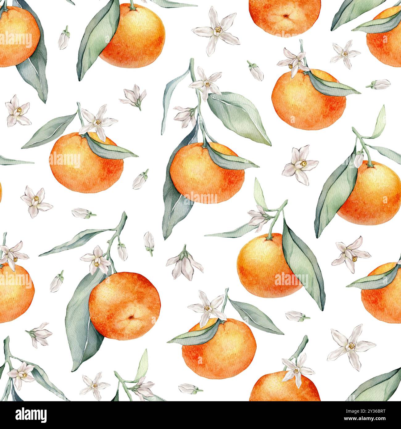 Seamless Pattern with Orange Fruit Branches, green leaves and white ...