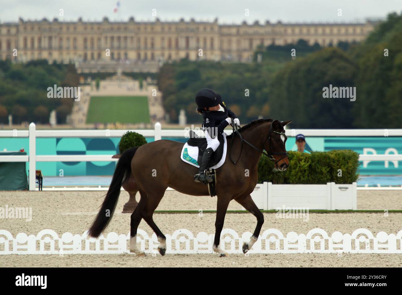 Bridget MURPHY of Australia on the horse Penmain Promise Para