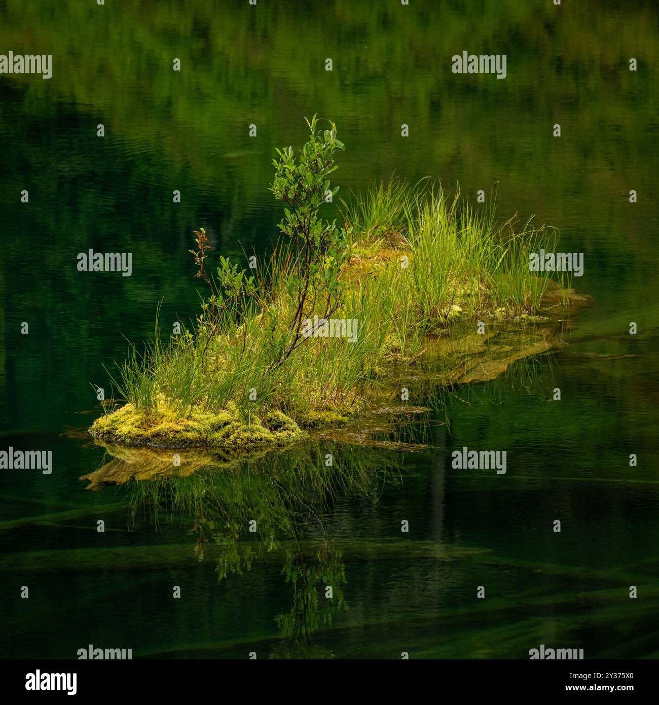Lush green island floats hi-res stock photography and images - Alamy