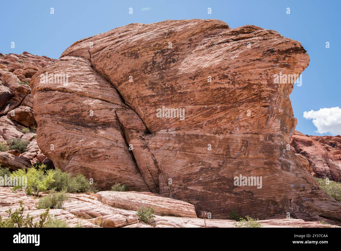 Red rock canyon landscape mountain - Calico Basin Trail Red Rock Canyon Nevada 2Y37CAA 