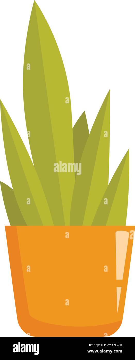 Green houseplant growing in orange pot with white background Stock ...