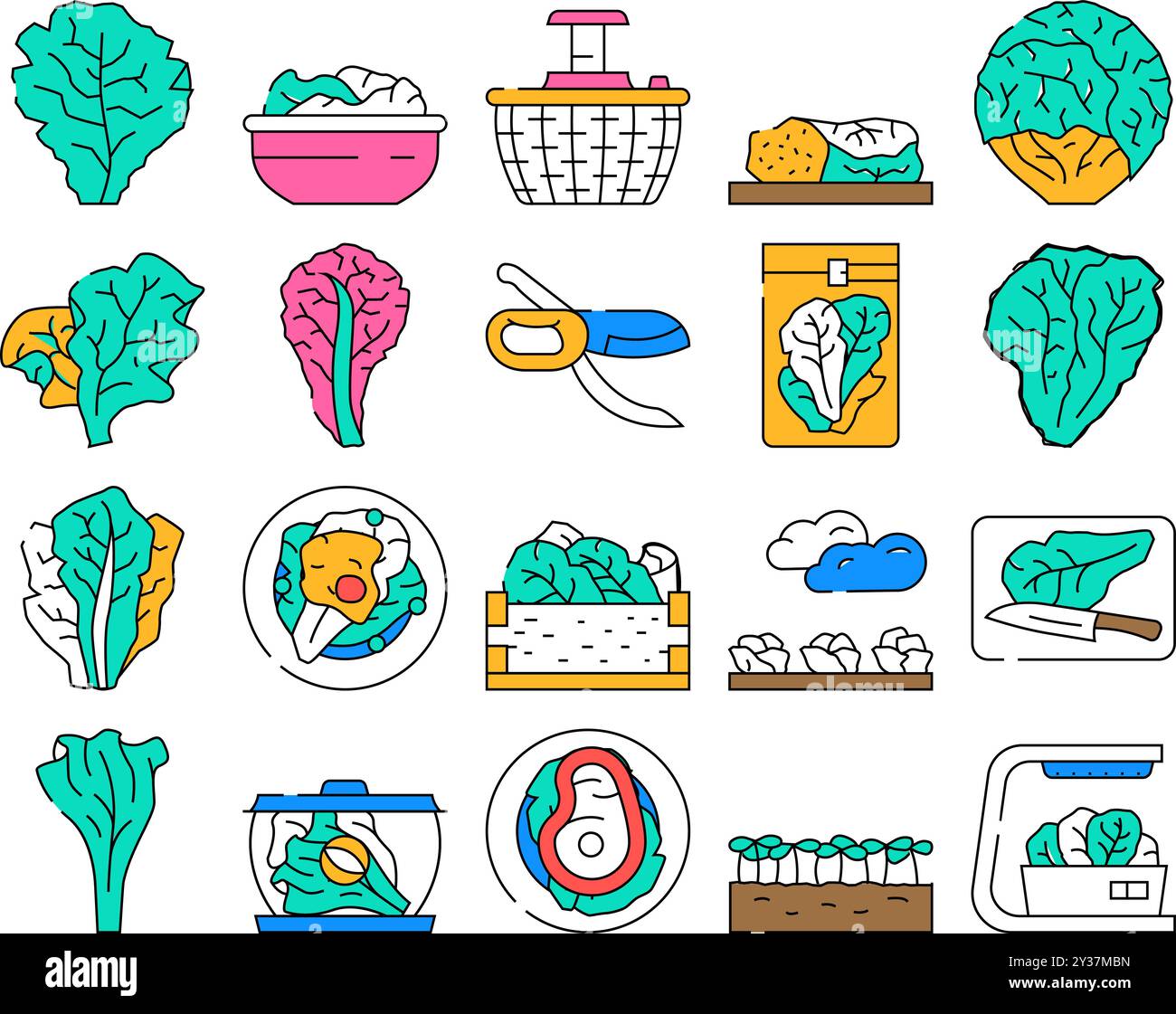 lettuce salad leaf vegetable icons set vector Stock Vector Image & Art ...