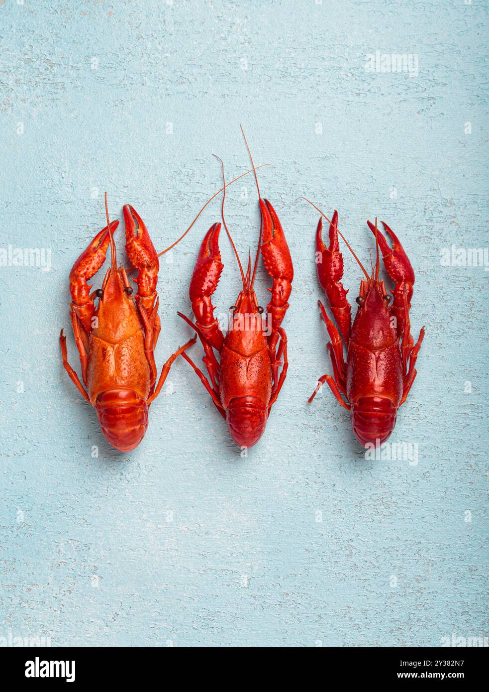 Three whole cooked crawfish lying on blue background top view Stock Photo