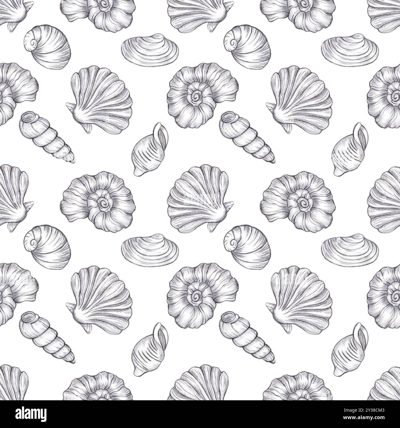 Hand drawn black coal pencil seashells seamless pattern isolated on ...