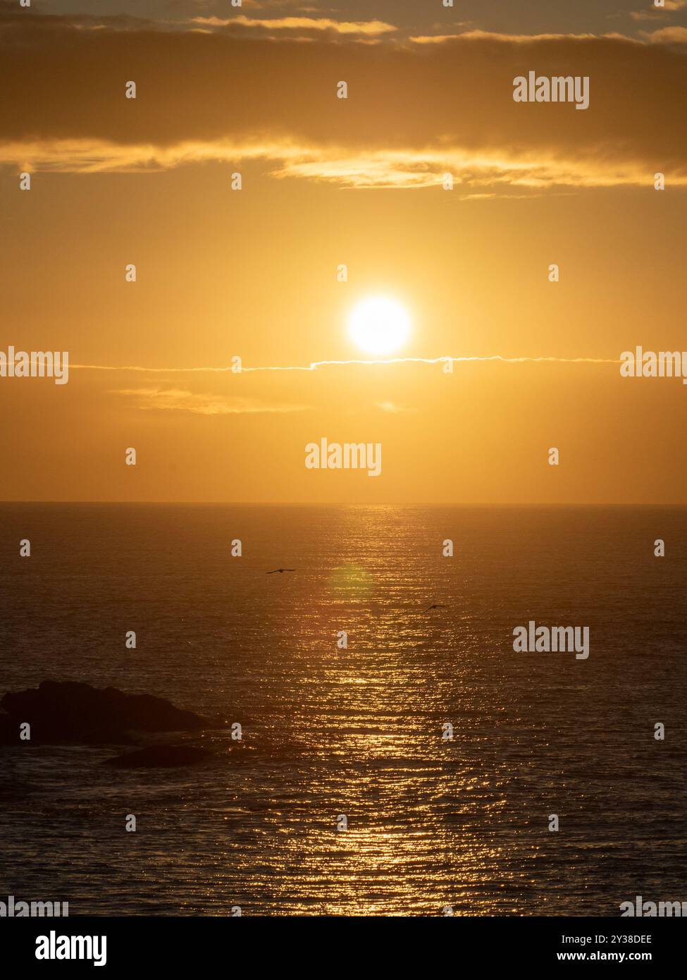 Sea sunrise golden sun shining hi-res stock photography and images - Alamy