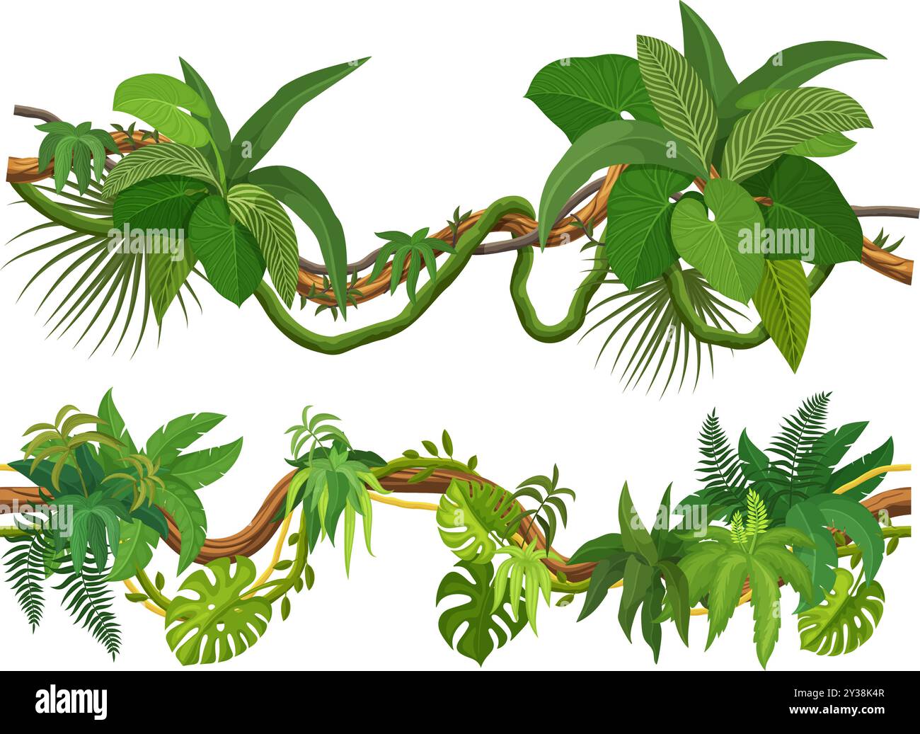 Tropical jungle forest liana vines and branches of ivy leaves, cartoon  vector. Tropical rainforest monstera leaf,, image size:1300x1037