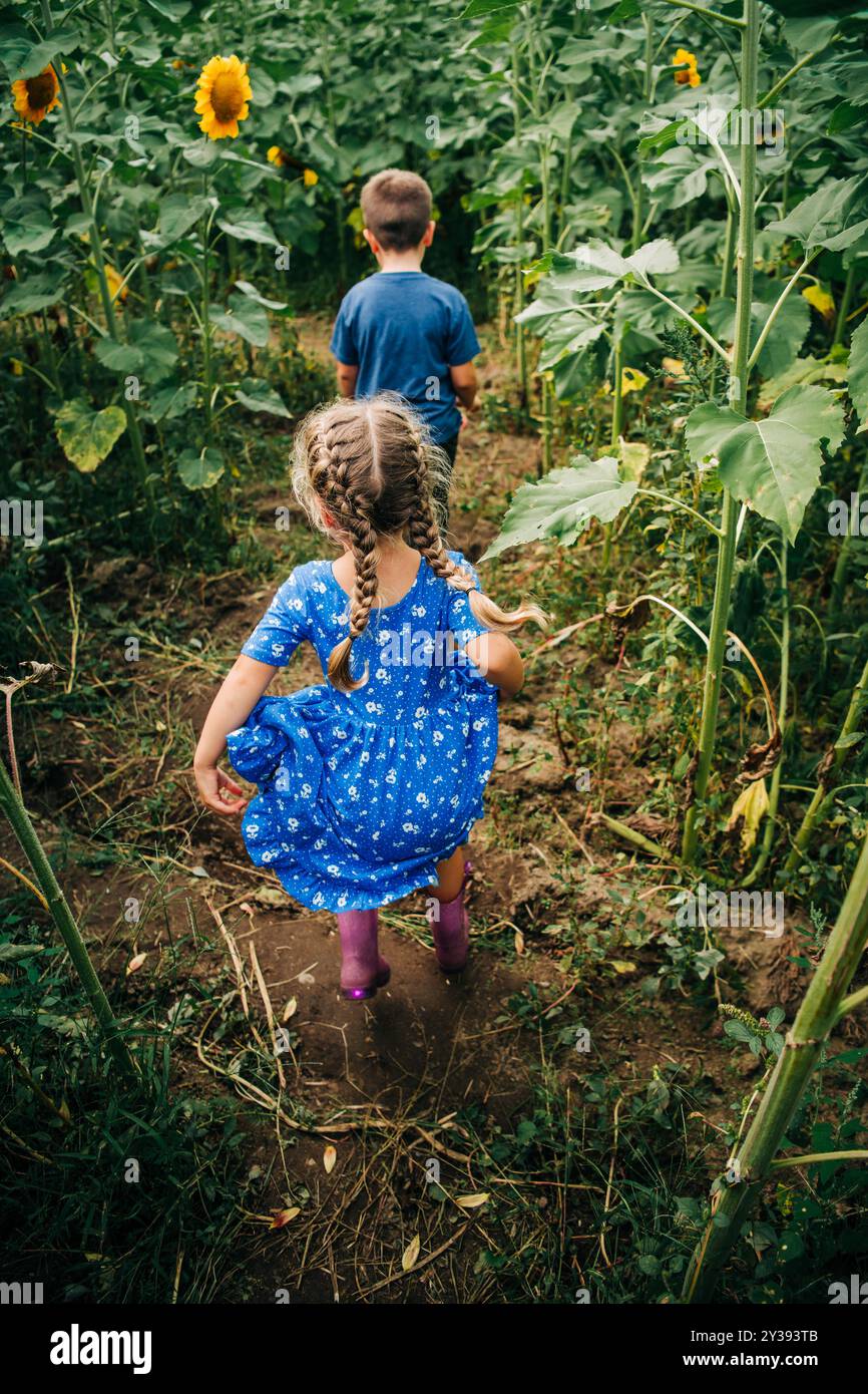 Two children walk through a sunflower field Stock Photo
