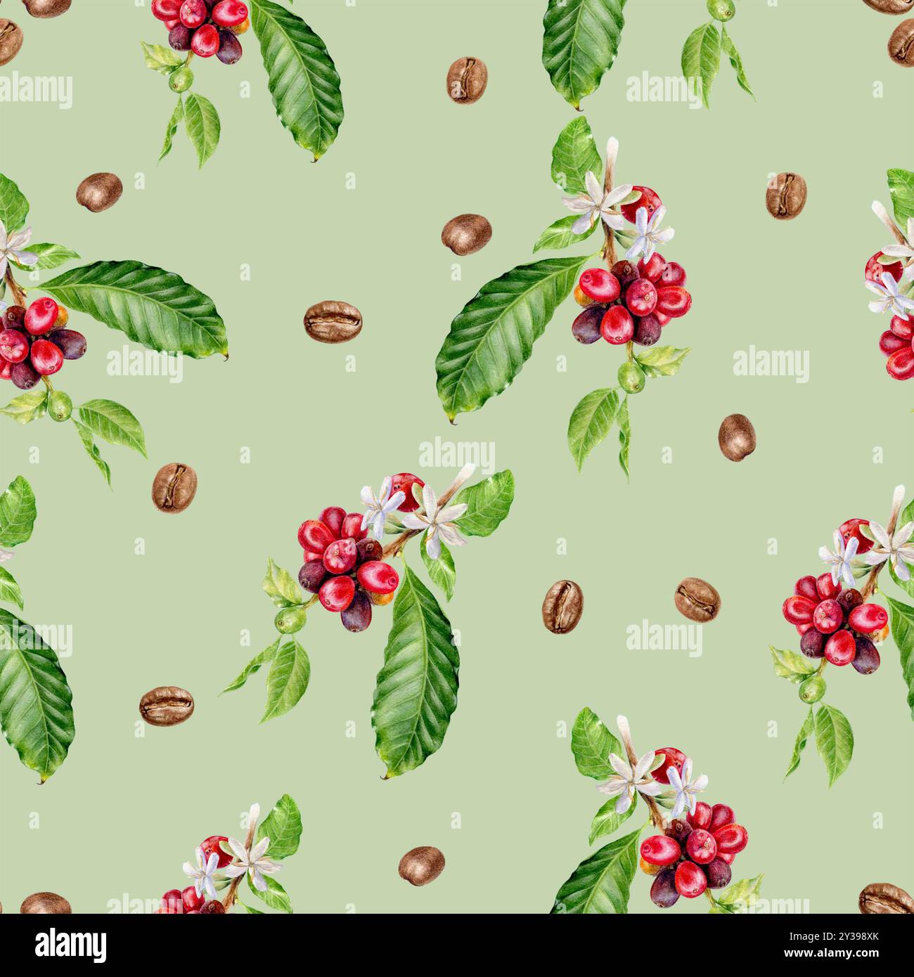 Seamless Watercolor Coffee Branch and Beans Pattern on Green Background ...