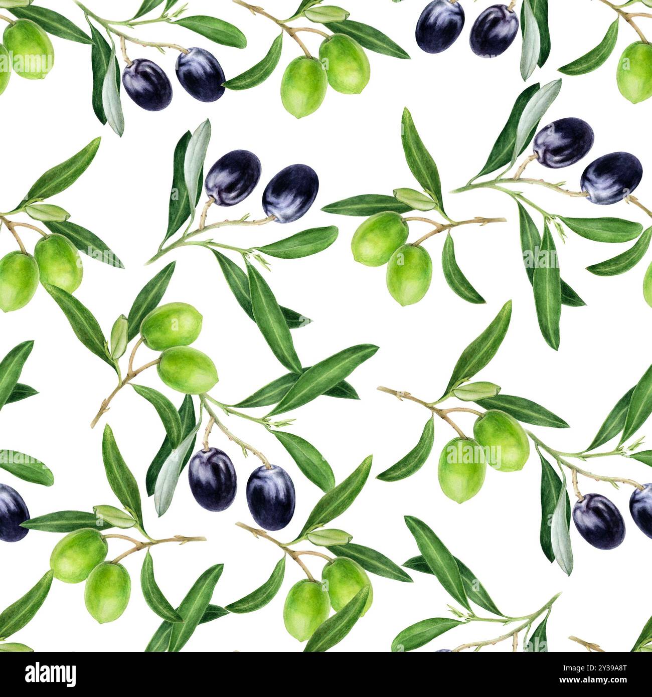 Hand-Painted Watercolor Olive Branches Seamless Pattern Stock Photo - Alamy