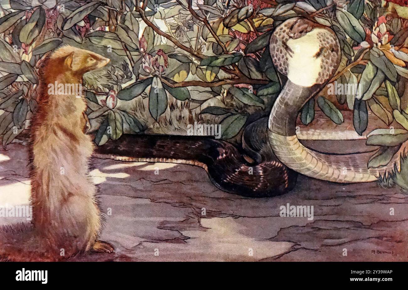 Rudyard Kilpling - Rikki Tikki Tavi and Nag Art by the Detmold Brothers