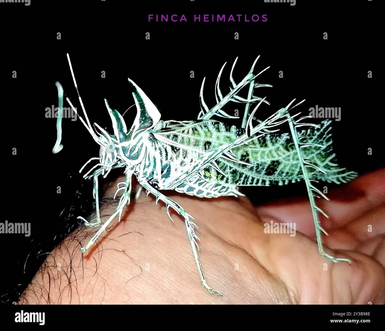 Markia hi-res stock photography and images - Alamy