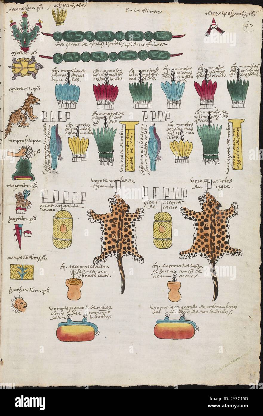 Aztec empire library hi-res stock photography and images - Alamy