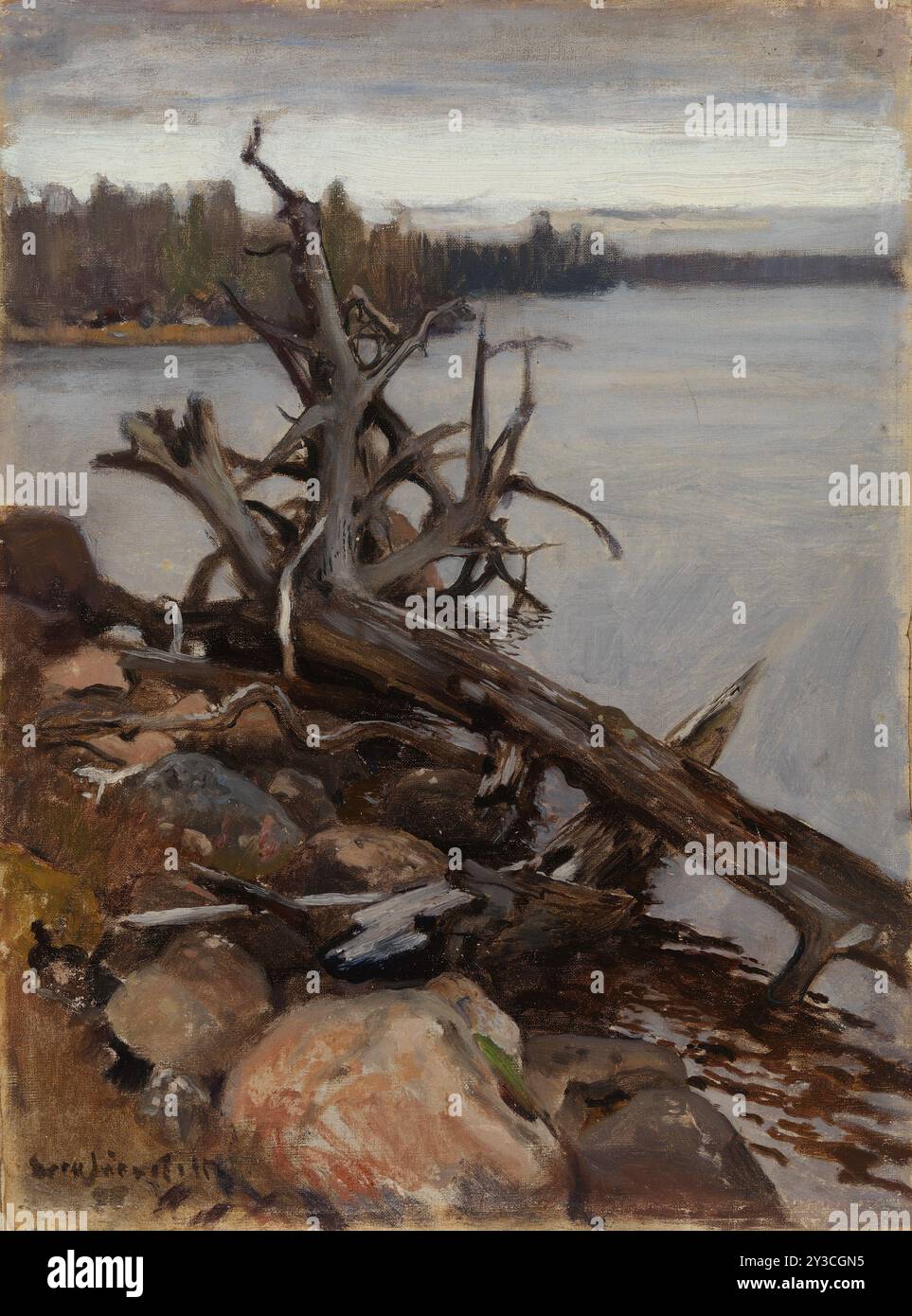 Dead Pine in the Water, 1898. Stock Photo