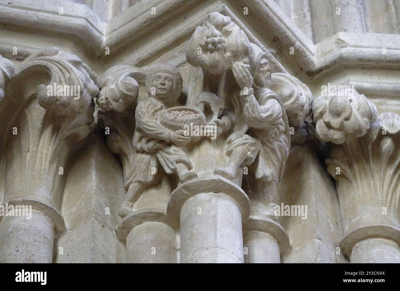 Interior view, Scene 1 (man and boy steal fruit), Fruit Stealer Carvings, Column, Wells Cathedral, Wells, England, Great Britain Stock Photo