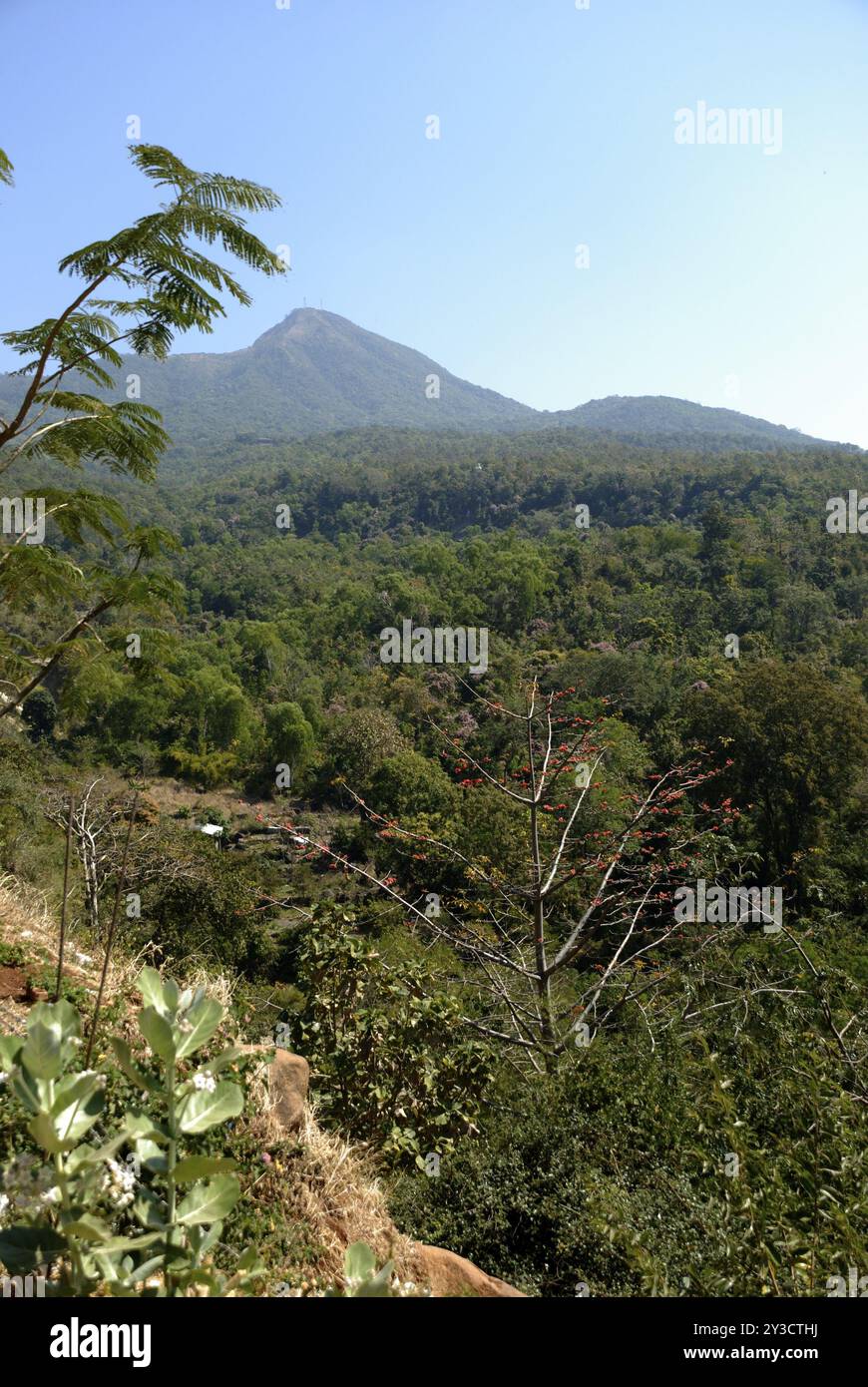 Mount Popa, Myanmar, Asia Stock Photo - Alamy