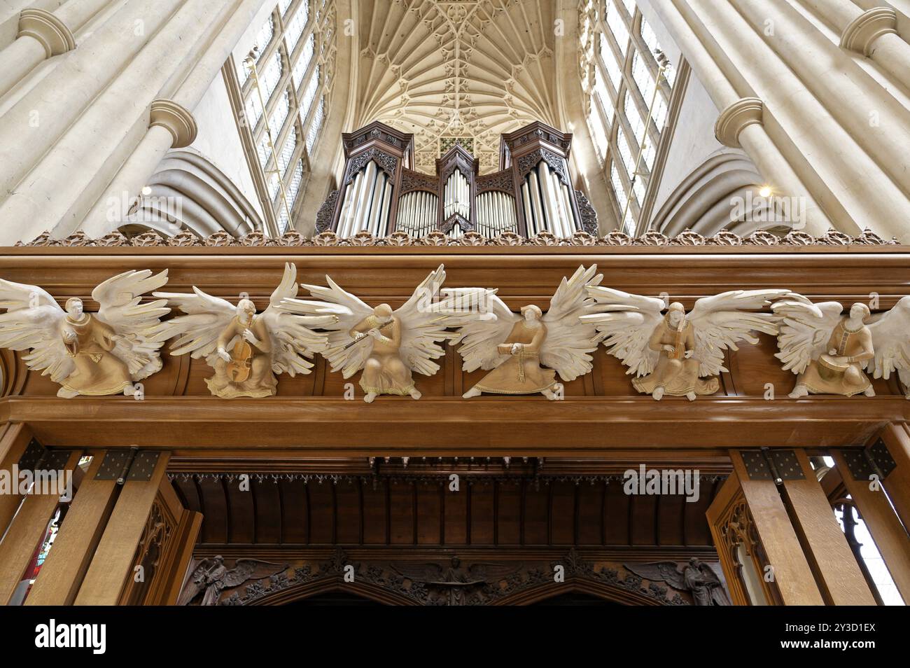 Interior view, organ, carved angels, Bath Abbey, Bath, England, Great Britain Stock Photo - Alamy