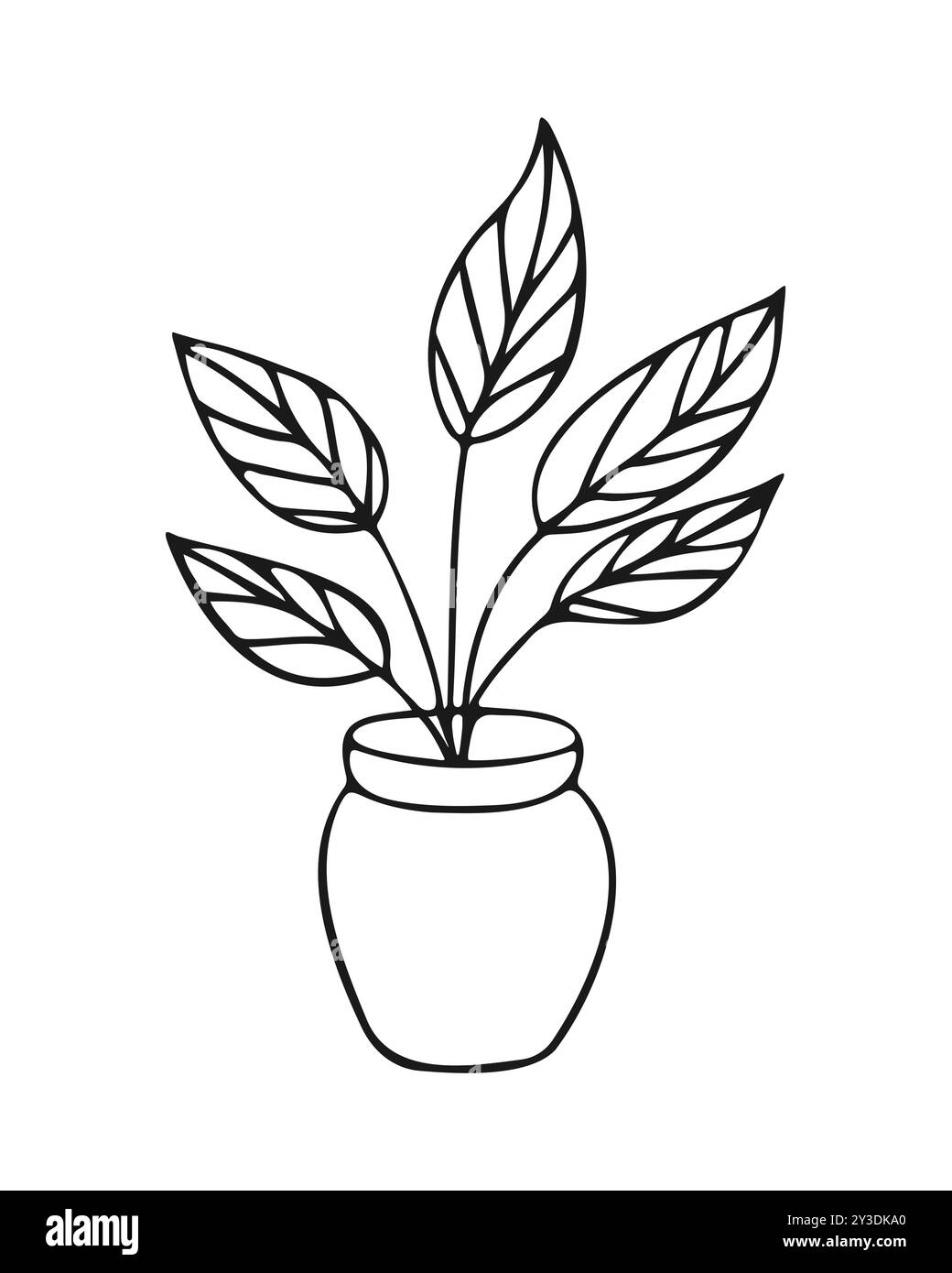 Indoor tree plant in a pot. Flowerpot. Hand drawn doodle drawing ...