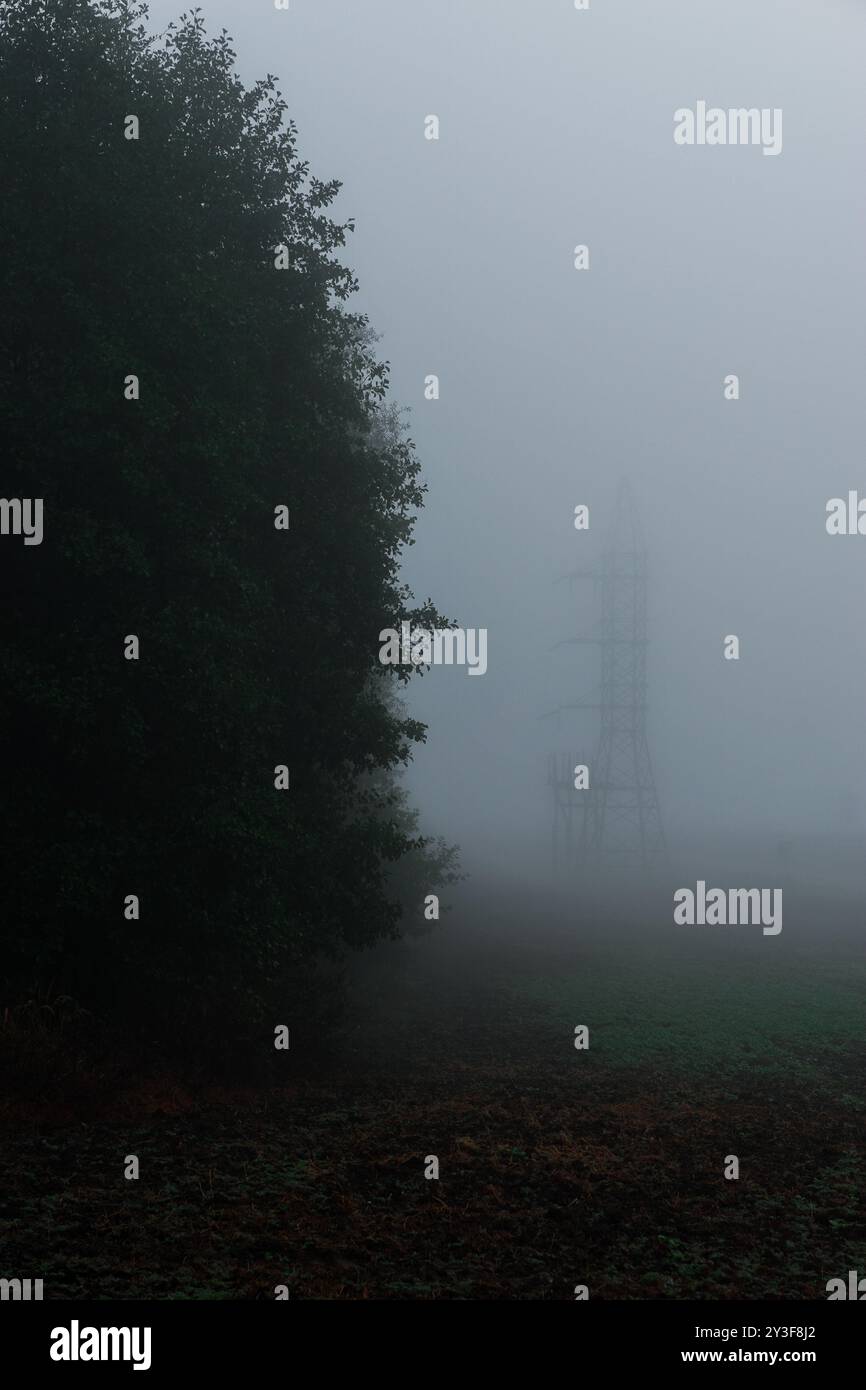 A lone tree in the fog Stock Photo - Alamy