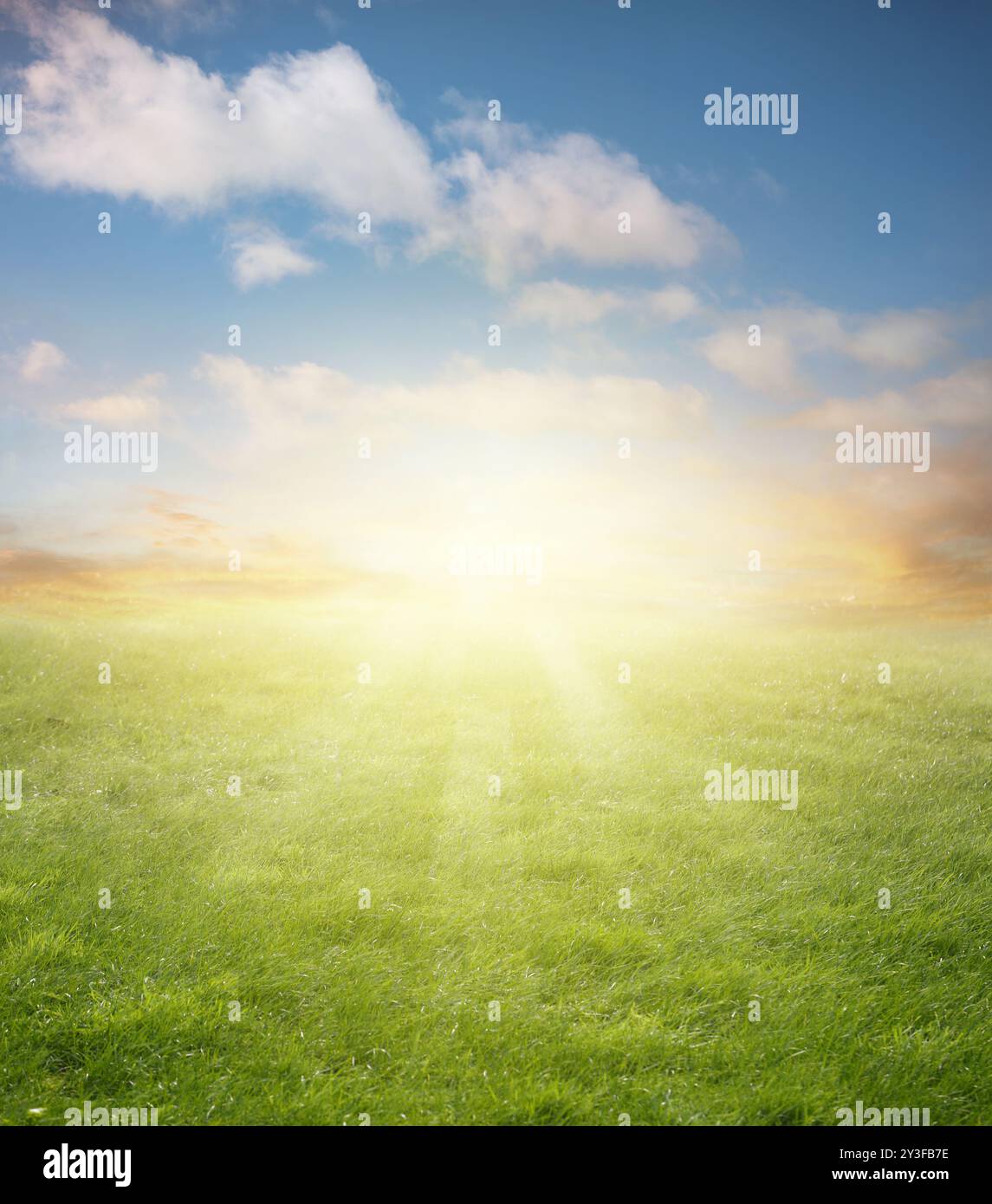 Green spring meadow and blue sky background Stock Photo - Alamy