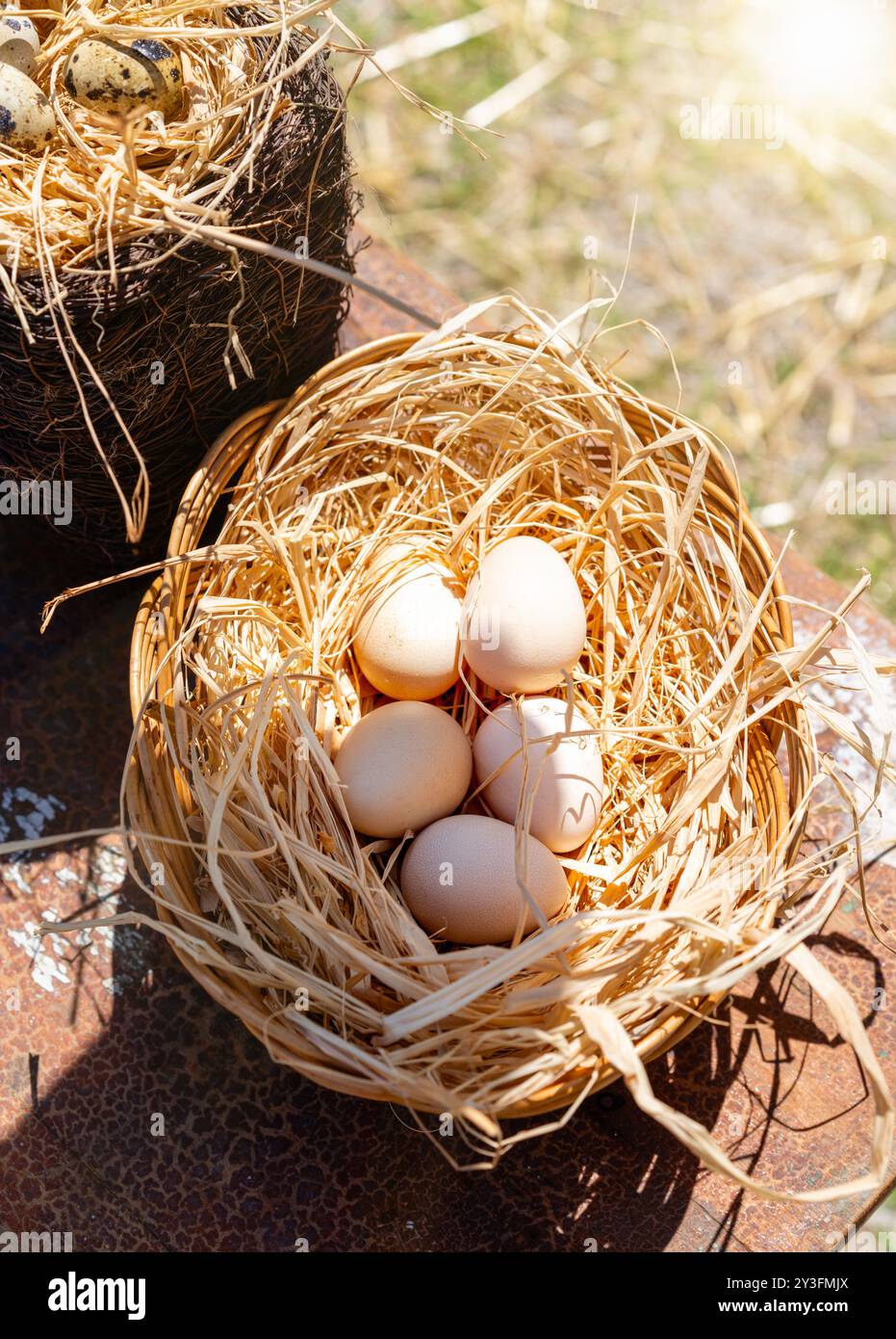 directly above view chicken eggs in nest Stock Photo - Alamy