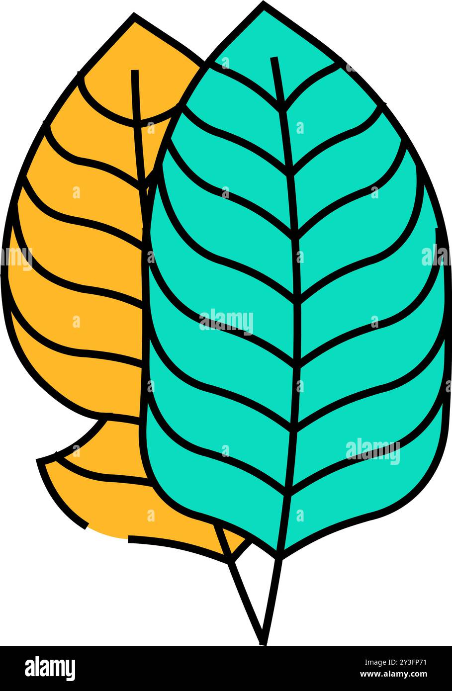 leaf banana plant icon color illustration Stock Vector Image & Art - Alamy