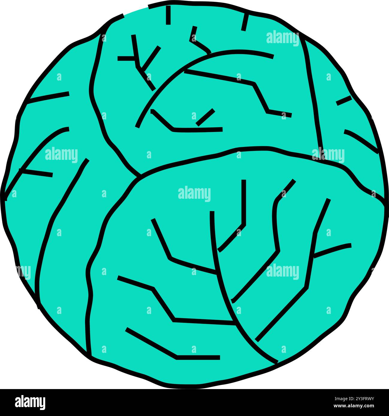 cabbage one whole icon color illustration Stock Vector Image & Art - Alamy