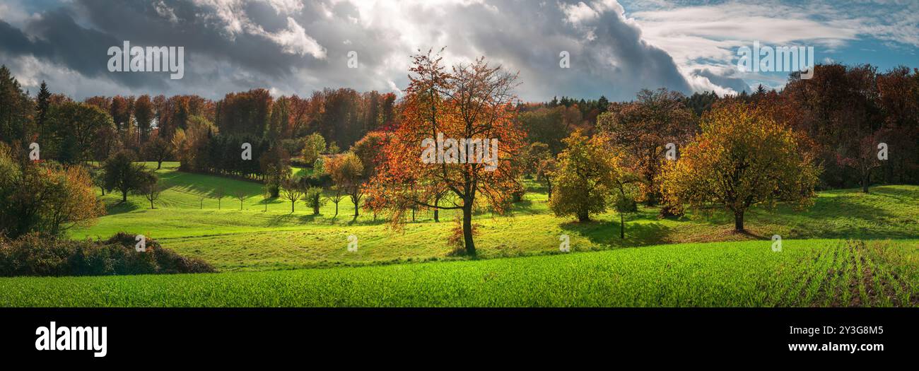 Rural paradise in amazing light in autumn. A panoramic landscape with green meadows, colorful trees and dramatic sky Stock Photo