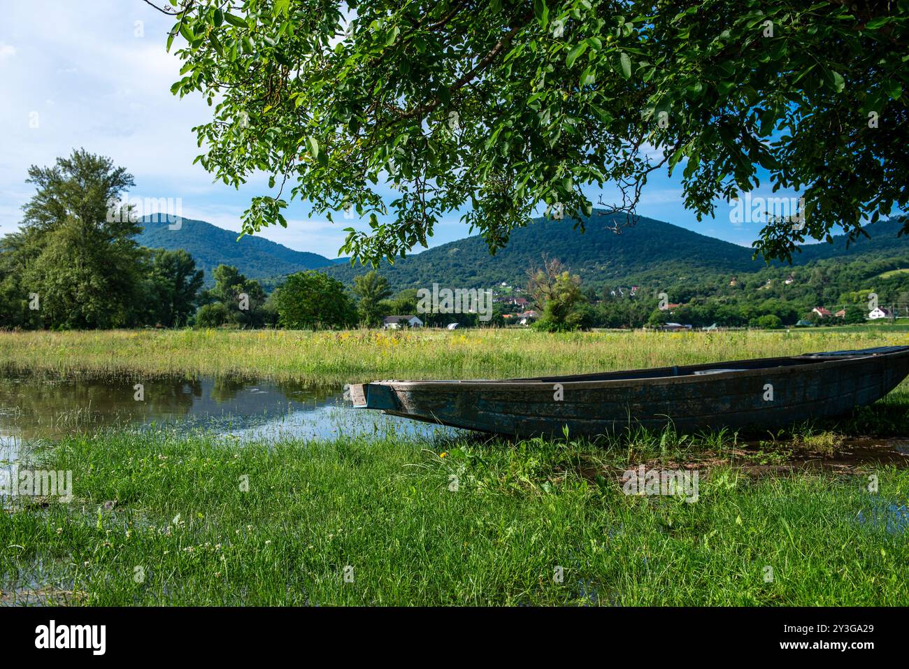River Bank Raining High water and seasonal flood in summer and autumn after raining. the ...