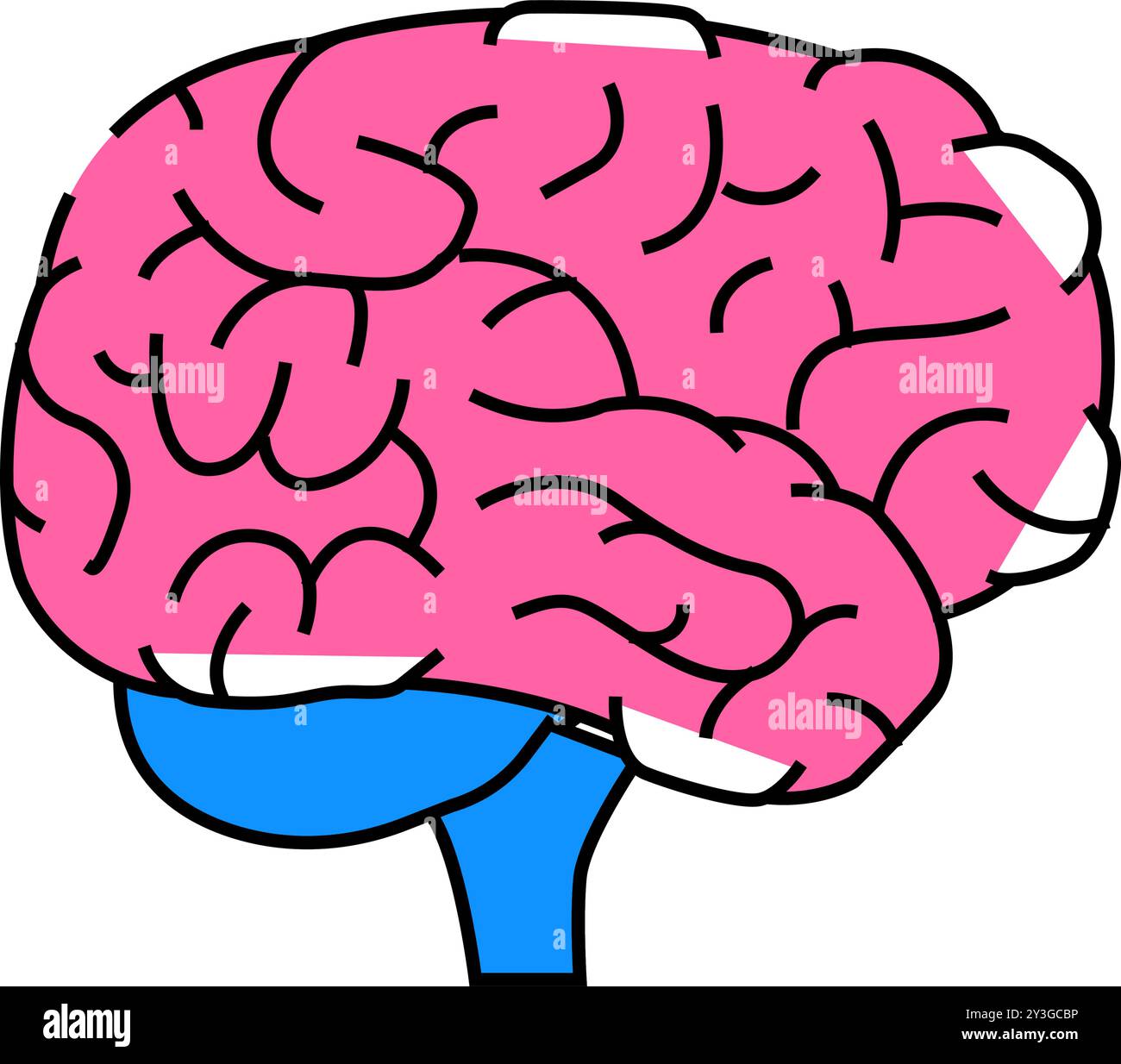 brain human icon color illustration Stock Vector Image & Art - Alamy