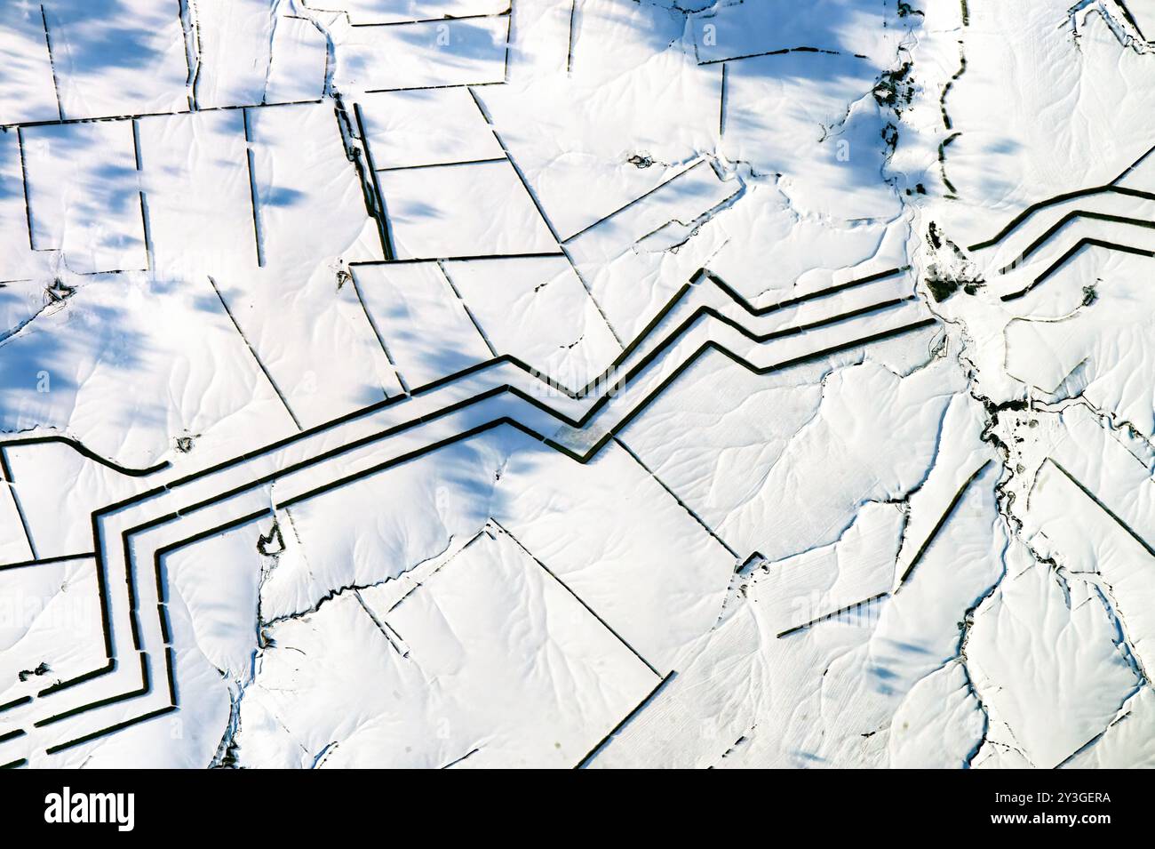 SHELTER BELT, WIND BREAKER AGRICULTURE Stock Photo - Alamy