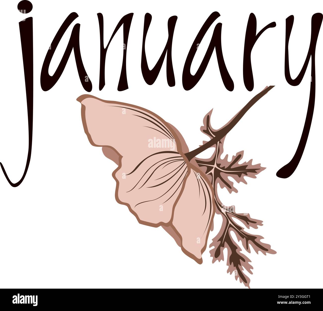 Set Vector Lettering of Month. Handwritten modern black outline