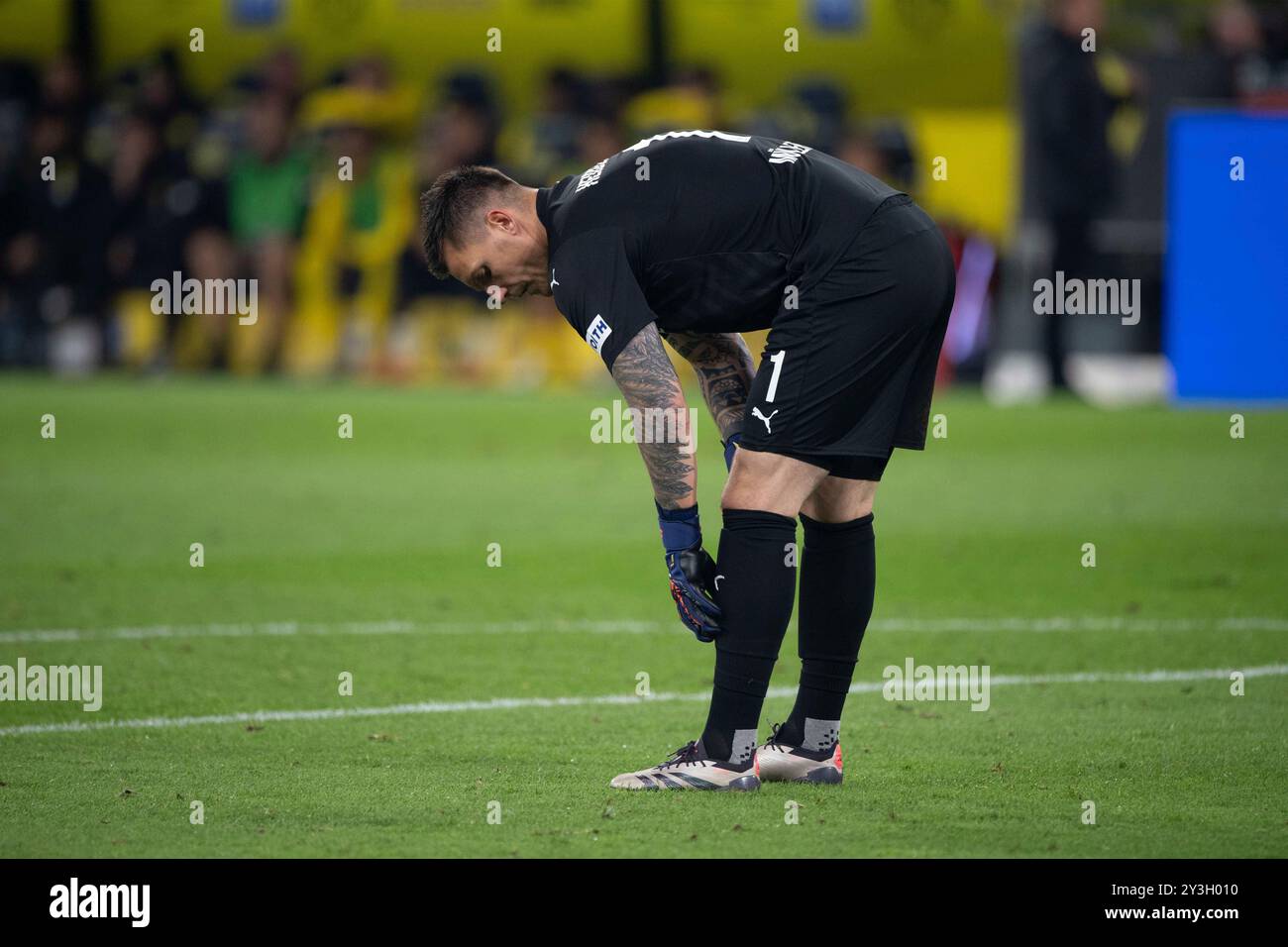 goalkeeper Kevin MUELLER (HDH) whole figure, whole figure, whole body, football 1. Bundesliga, 3. matchday, Borussia Dortmund (DO) - FC Heidenheim (HDH) 4-2 on September 13th, 2024 in Dortmund/ Germany. #DFL regulations prohibit any use of photographs as image sequences and/or quasi-video # Â Stock Photo