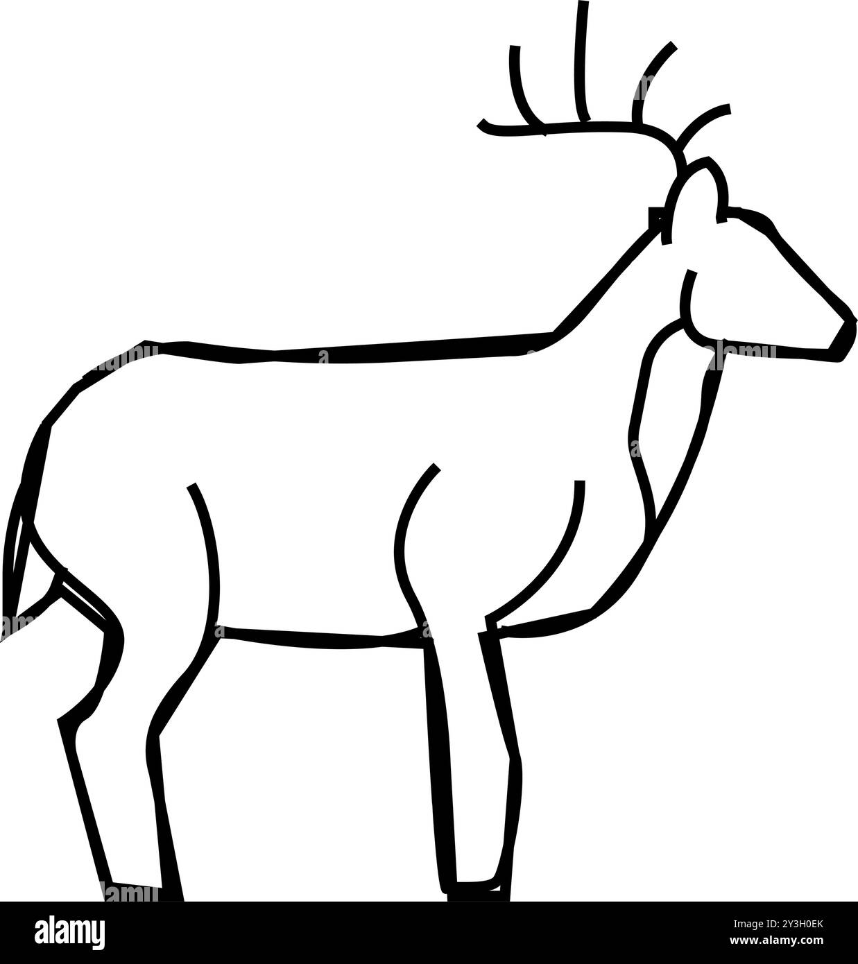 Deer Animal Color