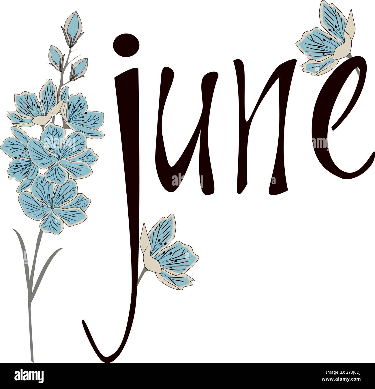 Set Vector Lettering of Month. Handwritten modern black outline ...