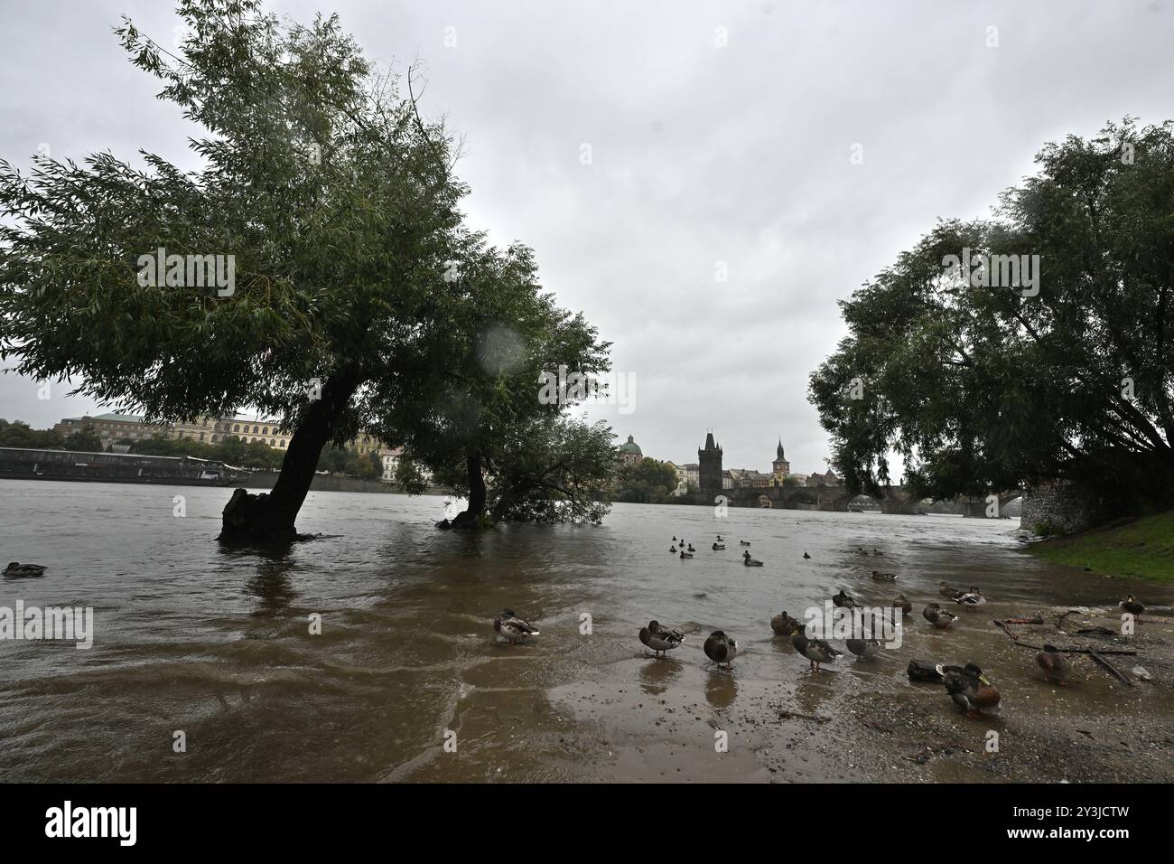 Prague, Czech Republic. 14th Sep, 2024. Flooded Vltava River during heavy rains in city center of Prague, Czech Republic, on September 14, 2024. Credit: Michaela Rihova/CTK Photo/Alamy Live News Stock Photo