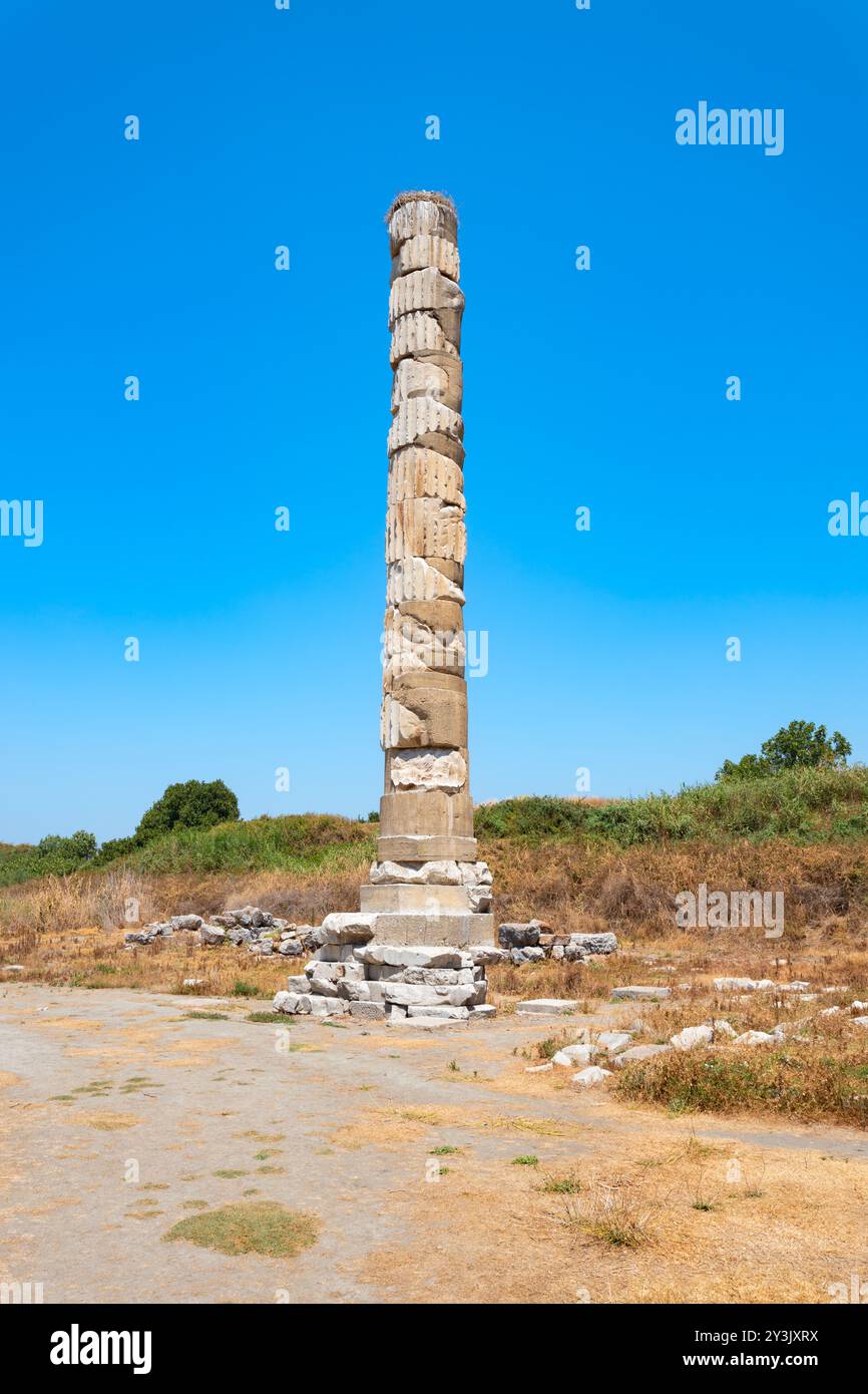 The Temple of Artemis or the Temple of Diana ruins at the Ephesus
