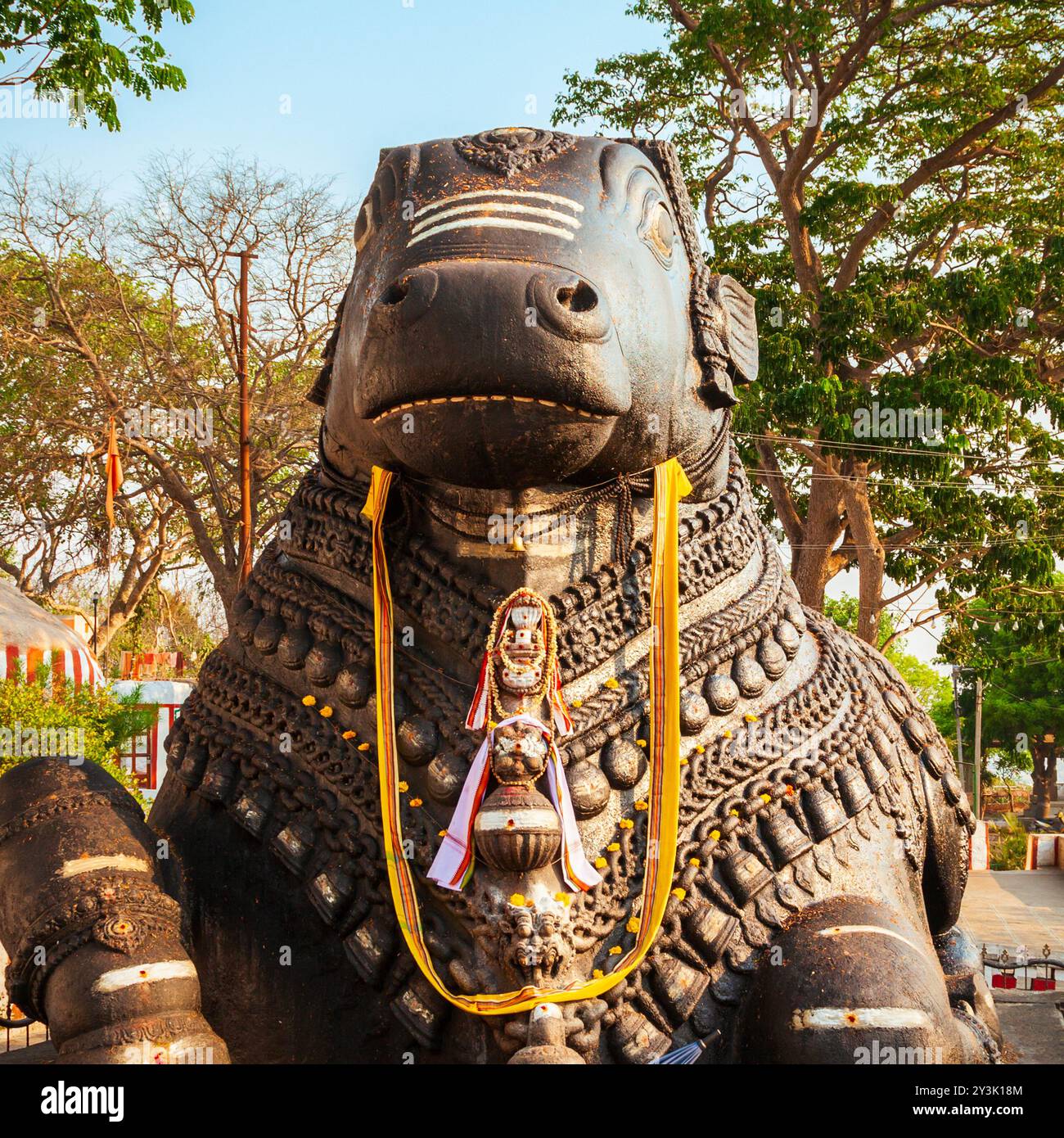 Shri Nandi monument is a hindu holy bull statue located on the top of Chamundi Hills near Mysore in India Stock Photo