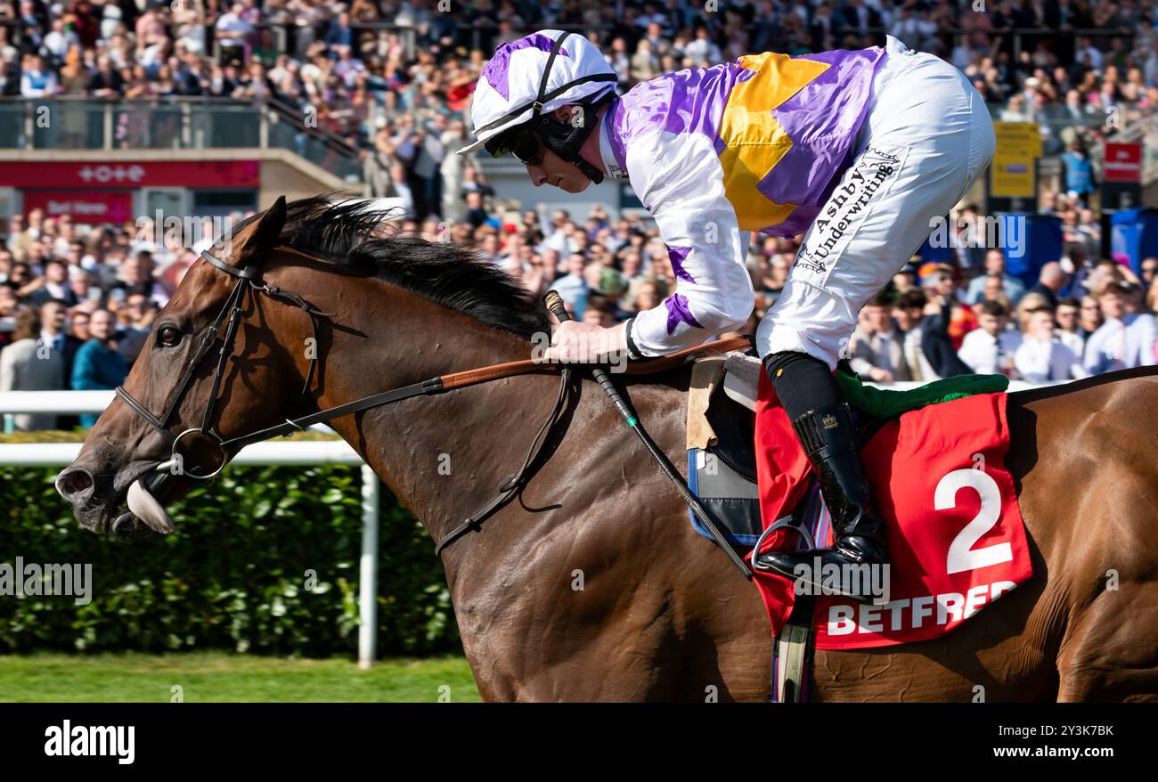 Doncaster, UK, Saturday 14th September 2024; Kinross and jockey Rossa Ryan win the Group 2 Betfred Park Stakes for trainer Ralph Beckett and owner Mr Mark Chan. Credit JTW Equine Images / Alamy. Stock Photo