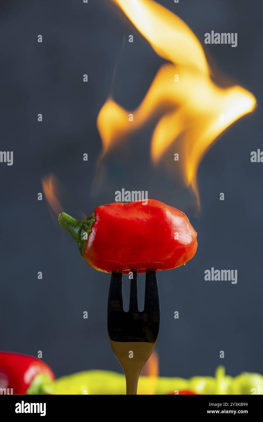 Burning red pepperoni on a fork, close-up, food photography Stock Photo