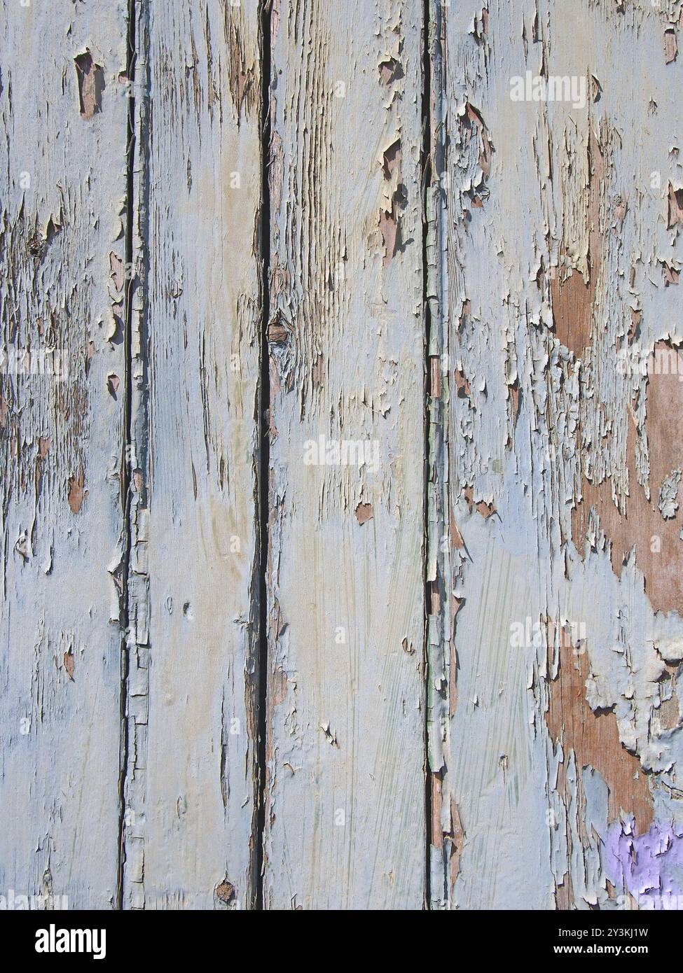 Timber Flaking Layered flaking faded blue old peeling paint on grainy rough timber ...
