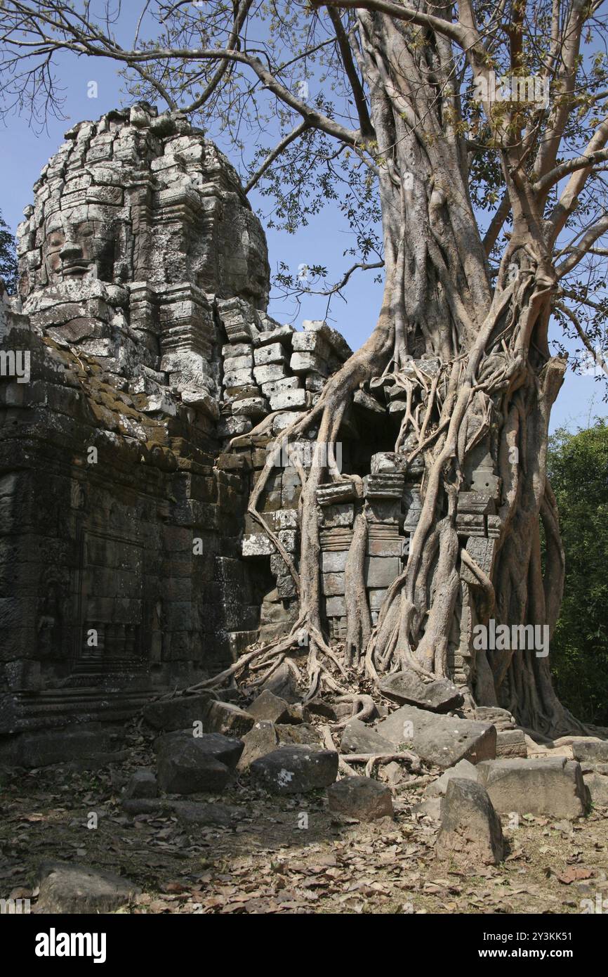 Ta Som temple at Angkor, Cambodia, Asia Stock Photo - Alamy