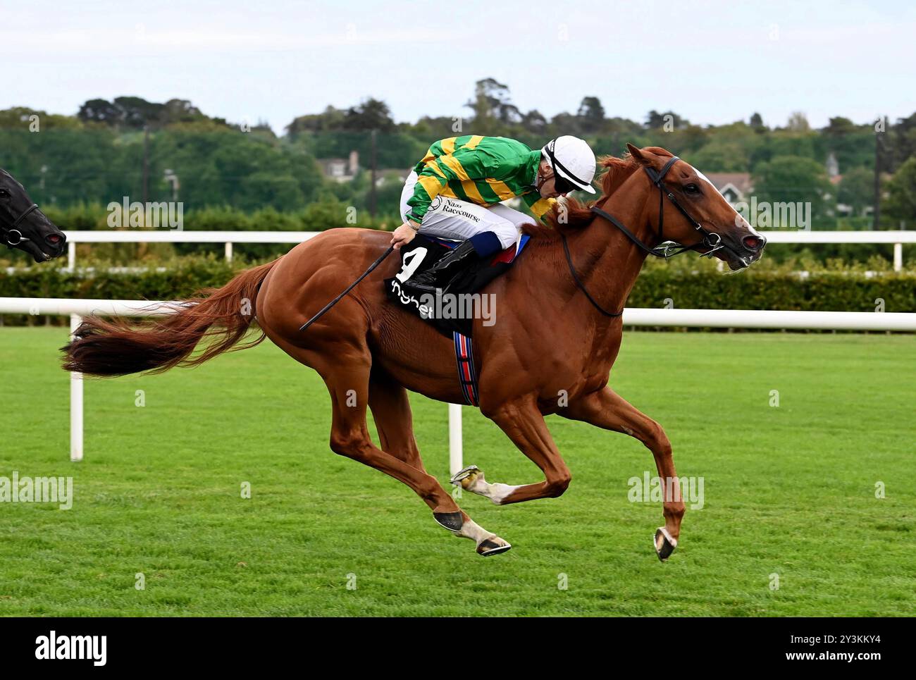 Tonybet Rennsport Event