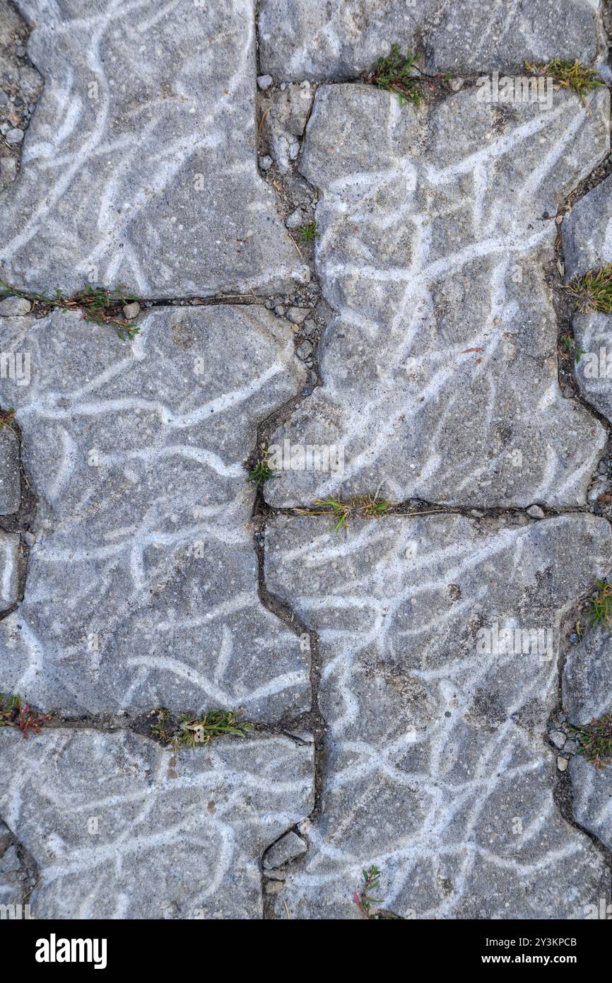 pavement with stone wall background Stock Photo