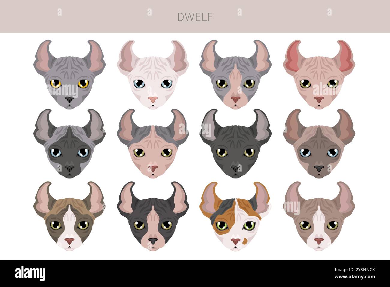 Dwelf Cat clipart. All coat colors set. All cat breeds characteristics ...