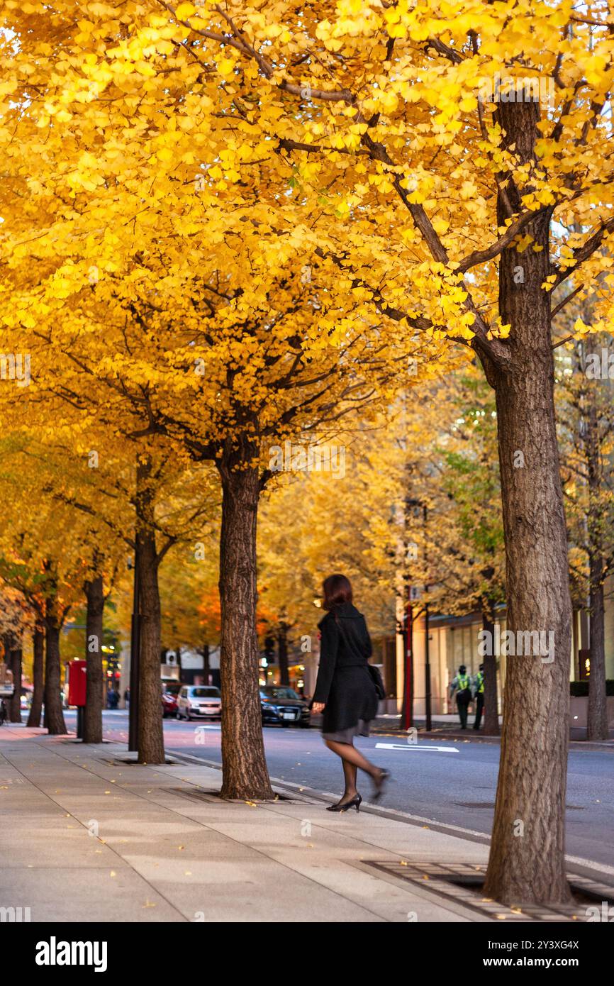 Tokyo street trees hi-res stock photography and images - Alamy
