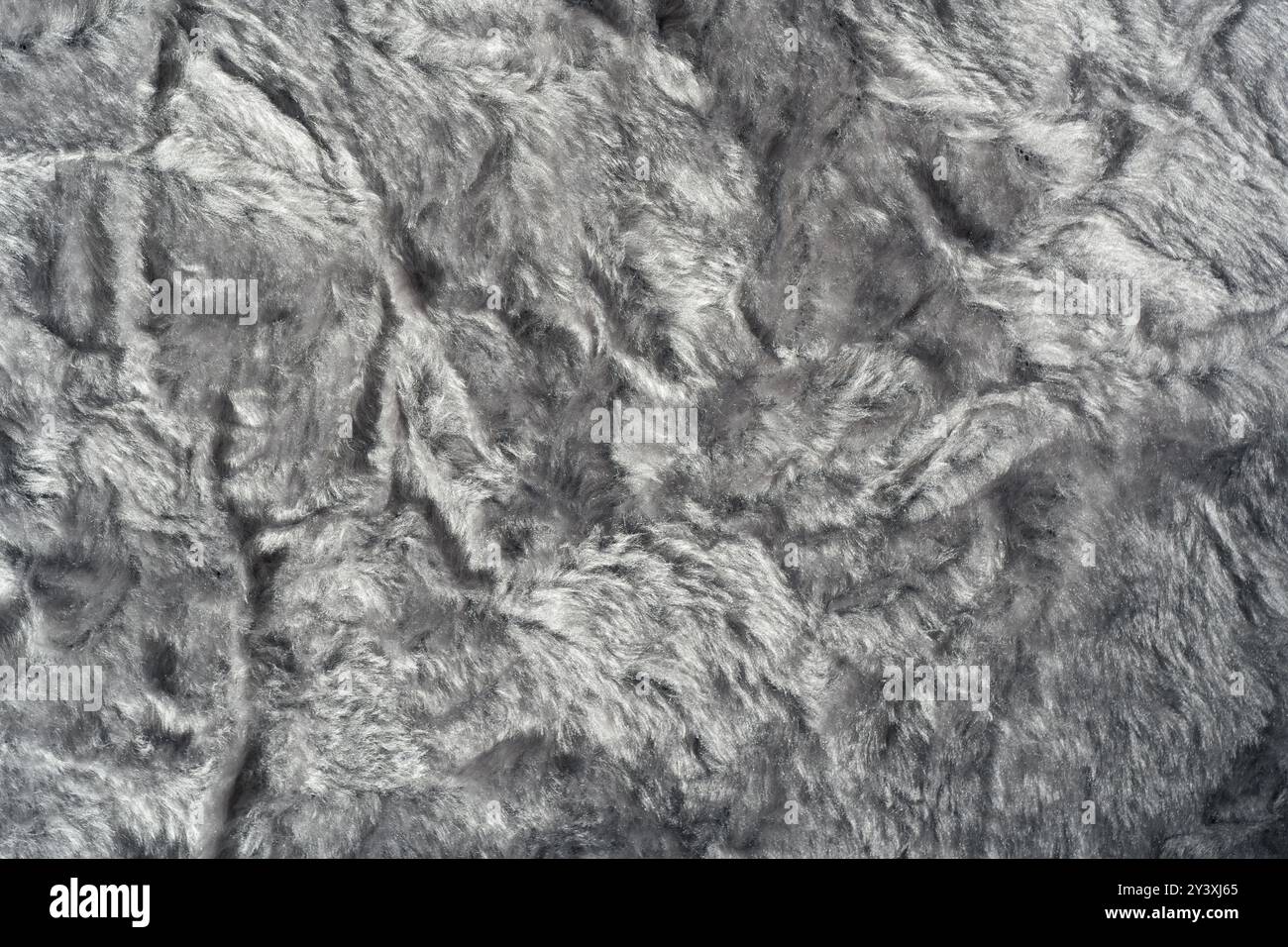 Gray silver fur texture background Stock Photo
