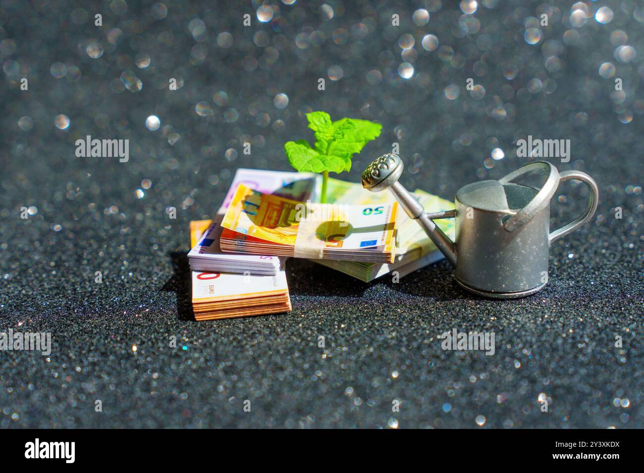 Financial growth concept with Euro banknotes and a small plant alongside a watering can against a sparkly background Stock Photo