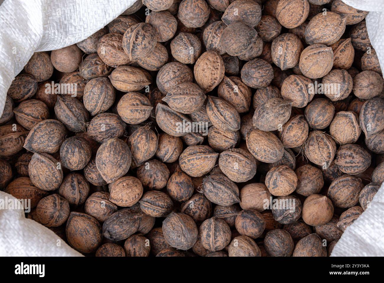 A sack with walnuts close up. Stock Photo