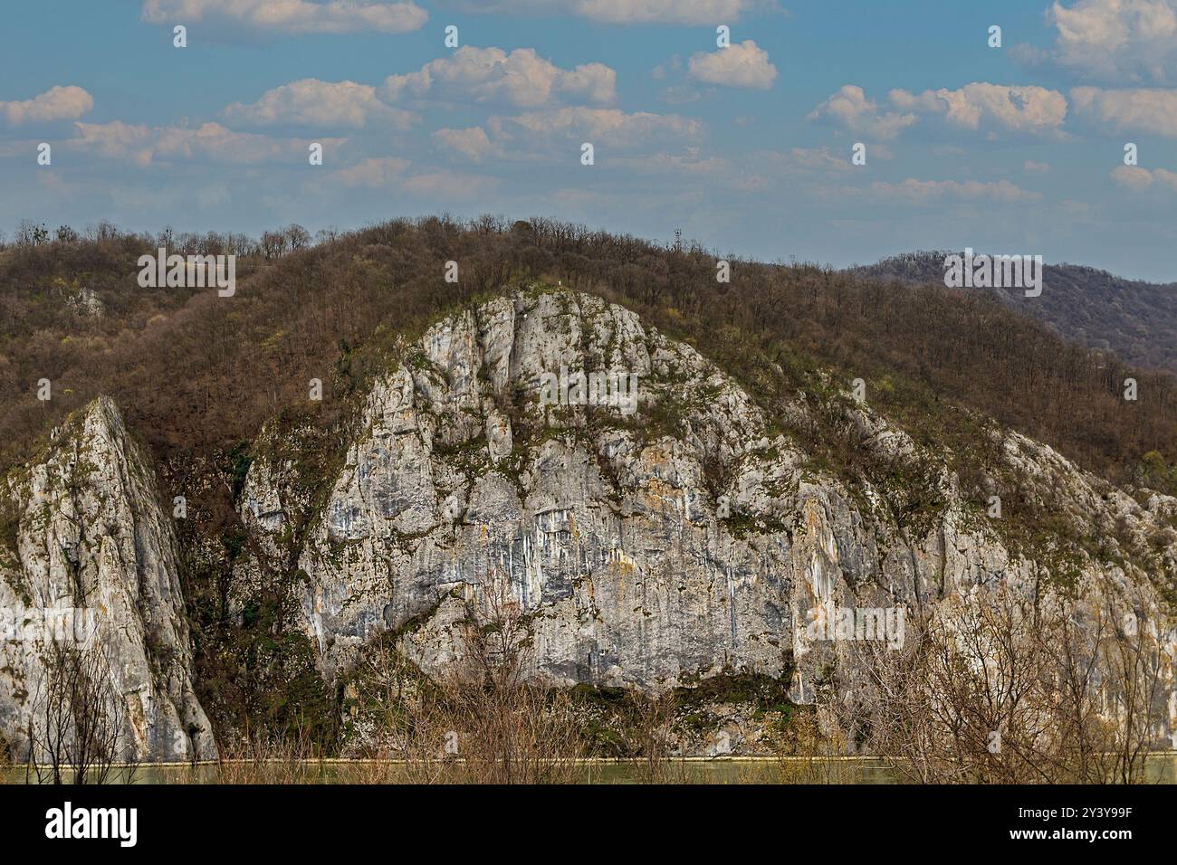 Green forest mountains in background hi-res stock photography and ...